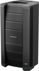 Bose F1 - Model 812 DJ Speakers